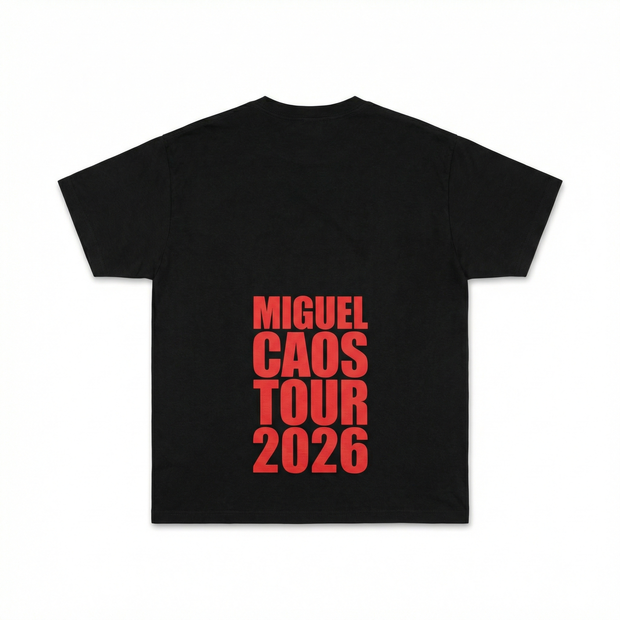 S1C Destroy Racism CAOS TOUR T-Shirt (BLACK)